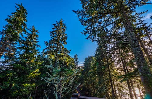 Ucluelet Condo | The Cabins - 1 Bedroom Rain Forest - Deluxe Lodge Suites!