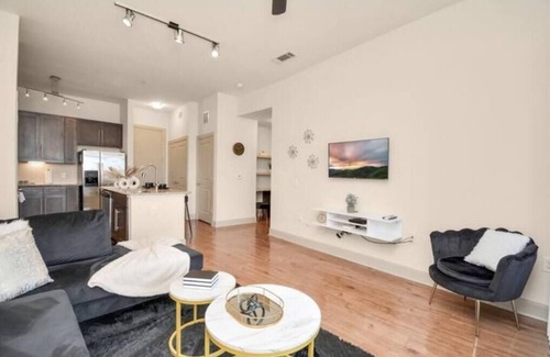 Astrodome Apartment | The Calm Space Med Ctr Walk To NRG! Gym Pool