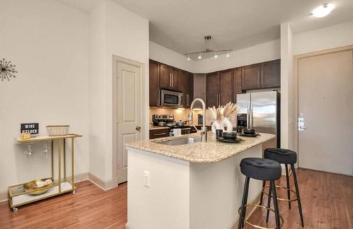 Astrodome Apartment | The Calm Space Med Ctr Walk To NRG! Gym Pool
