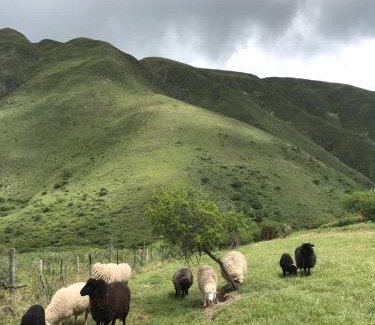 Volcan Other | The Canuto Glamping