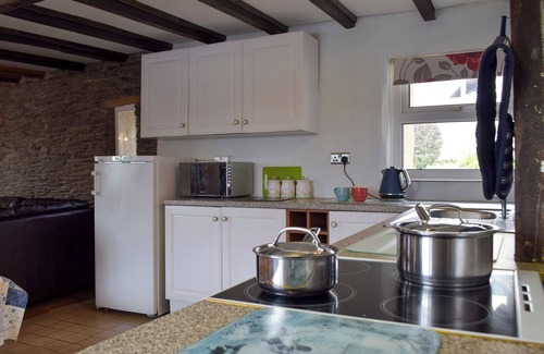 Newcastle Emlyn Cottage | The Carthouse - UK13184