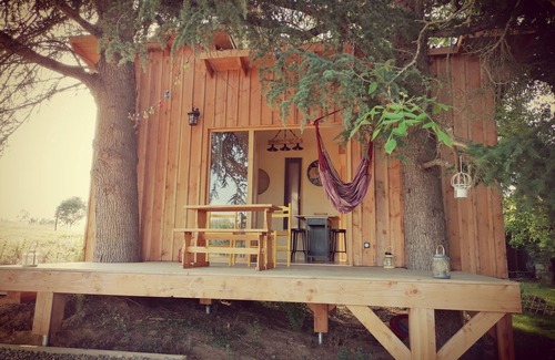 Saint-Arailles Cabin | The Cedar.