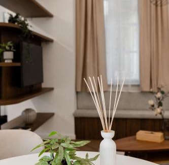 Terezvaros Apartment | The Central Modernist Vasvari 6