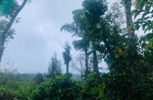 Sakleshpur Resort | The Chapters