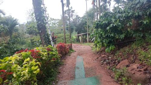 Sakleshpur Resort | The Chapters