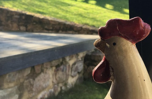 Saint-Remy House | THE CHARMING HOUSE AND ITS 2 PIGEONNIERS