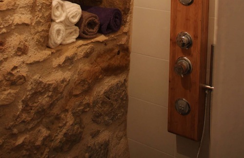 Saint-Remy House | THE CHARMING HOUSE AND ITS 2 PIGEONNIERS