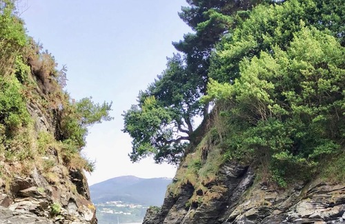 Covas Apartment | The Cliffs - VilaTurquesa A
