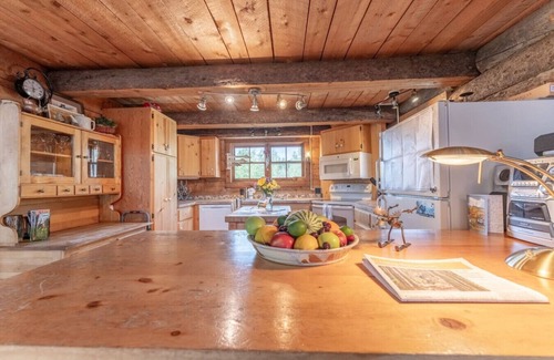 Crested Butte House | The Coal Creek Cabin