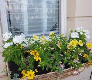 Great Yarmouth House | The Collingwood Guest House