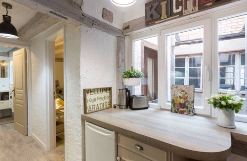 Old Town Apartment | THE COLMAR HYPER CENTER TANKERS WORKSHOP