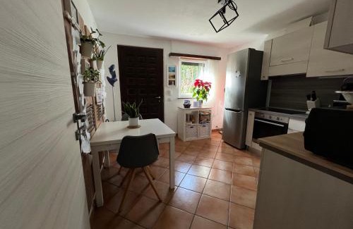 Ponte Capriasca House | The Comfy Apartment