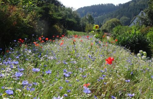 Schwalefeld House | The Conscious Farmer Bed and Breakfast Sauerland