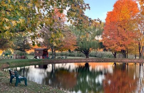Ashtabula House | The Cortland Cottage at Brant's Apple Orchard