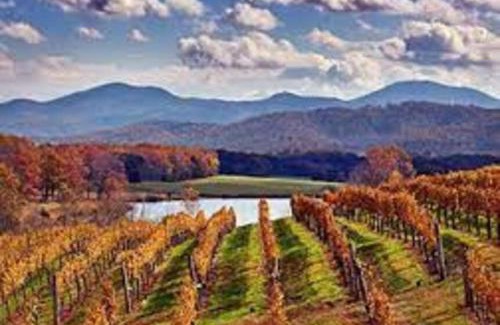 Afton House | The Cottage @ Afton Mountain- Close to Wineries!