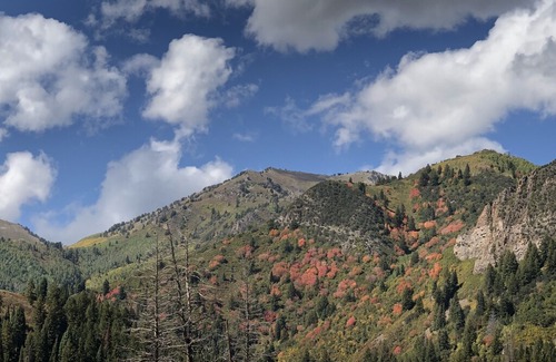 Salt Lake Mountain Resorts Cabin | The Cottage at Brighton