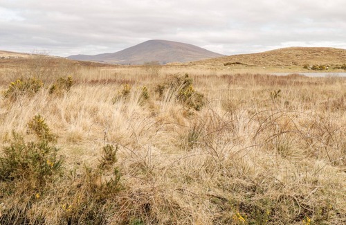 Newport Cottage | THE COTTAGE, family friendly, with open fire in Newport, County Mayo