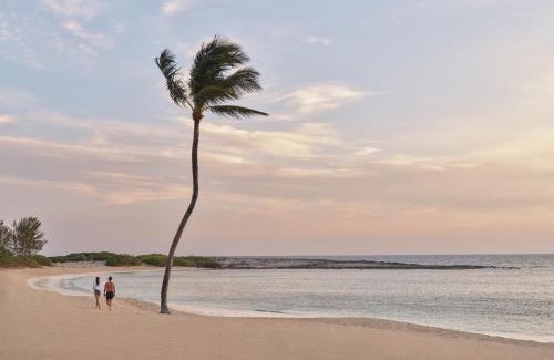 Paradise Island Resort | The Cove at Atlantis