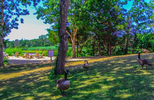 West Yarmouth Resort | The Cove at Yarmouth by VRI Americas