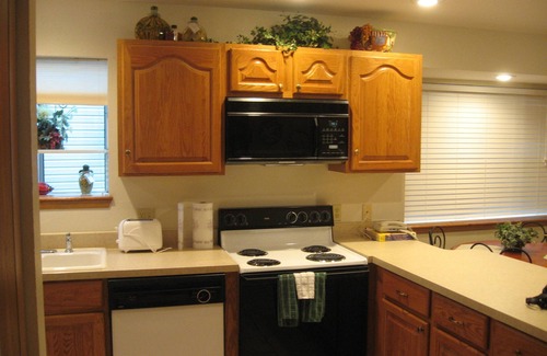 Indian Point Condo | The Cove on Indian Point next to Silver Dollar City! Beautiful View! Walk-In!