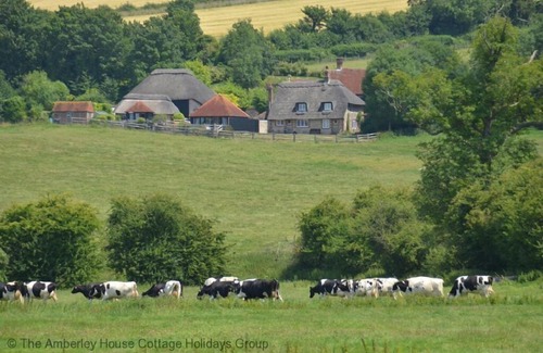 Burpham Cottage | The Cow Hide - Wepham, nr Arundel, West Sussex