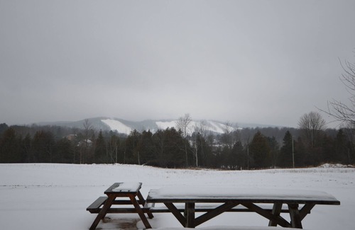Boyne Falls Cabin | The Cozy Cabin