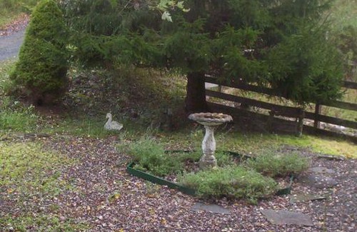 Livingston Manor Bed & Breakfast | The Craft Room B&B