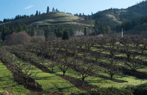 The Dalles Hotel | The Dalles Inn