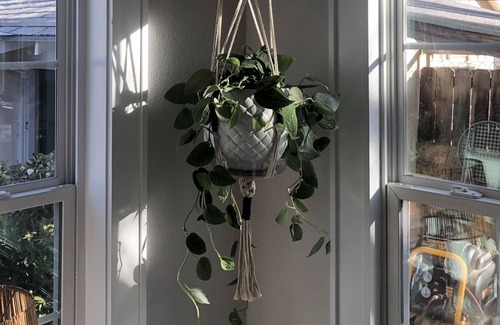 Carlsbad House | The Day Dreamer's Passage