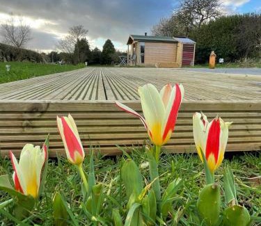 Muston Other | The Deer Hut at Carr House Farm
