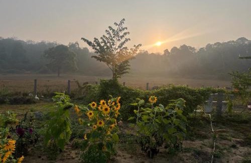 Naduvattam Cabin | The Deer Meadows