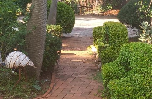 Lobatse Bed & Breakfast | The Divas Nest