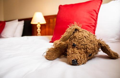 Chard Hotel | The Dolphin Hotel