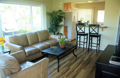 North Pacific Beach Apartment | The Dolphin - Just Steps from the Beach - Pacific Beach