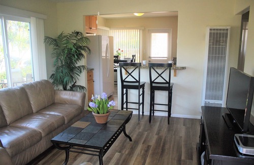 North Pacific Beach Apartment | The Dolphin - Just Steps from the Beach - Pacific Beach