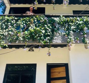 Don Diego Apartment | The Don