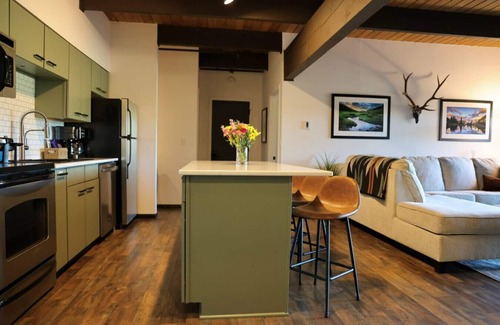 Crested Butte Apartment | The Elk Mountain Escape