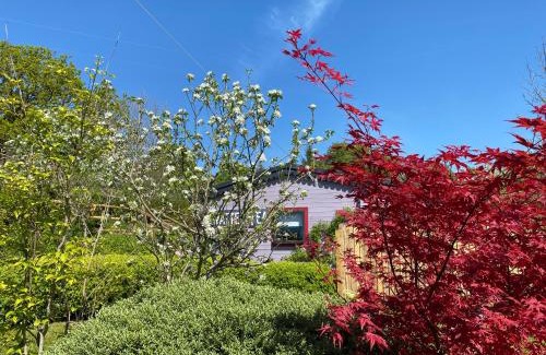 Pentrefelin Ski Chalet | The Fabulous flower hut