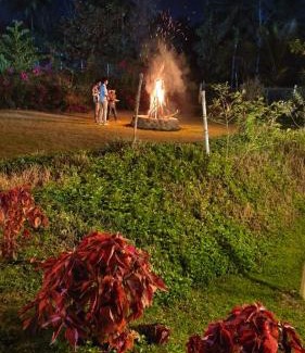 Agara Other | The Fairy Tale Farms