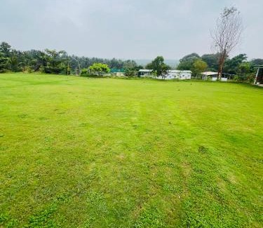 Agara Other | The Fairy Tale Farms