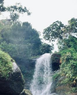 Elappara House | The Falls at Mangal Caverns