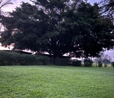 Camperdown House | The Farmery Garden and Guesthouse