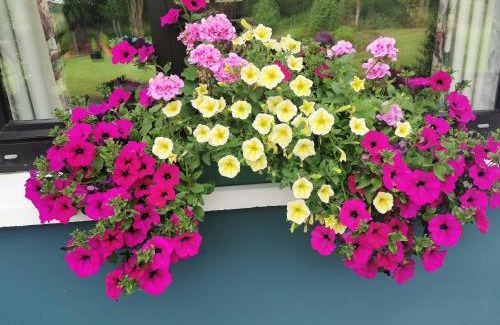 Beaufort Bed & Breakfast | The Ferris Wheel B&B