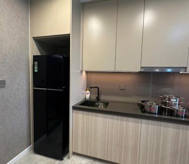 Hai Chau Apartment | The Filmore Luxury Apartment