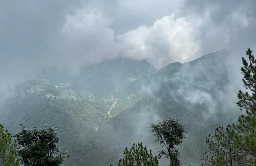 Naddi House | The fog and flames