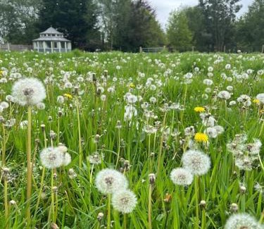 Stratton Strawless Apartment | The Folly - one off luxury Glamping accommodation