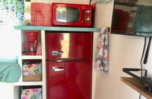 Weeki Wachee Gardens Apartment | The Funky Flamingo - Neptune's Grotto Old Florida Adventure Retreats