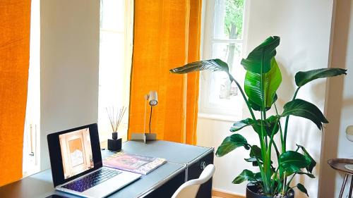 Steinhausen Apartment | The Gallery