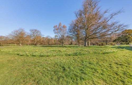 Paxton Apartment | The Garden Apartment - Uk48320