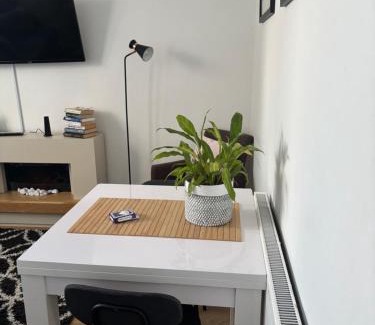 Torquay City Centre Apartment | The garden flat